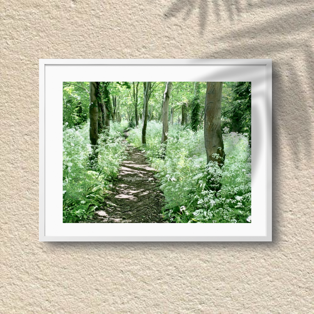 Whispers of the Woods