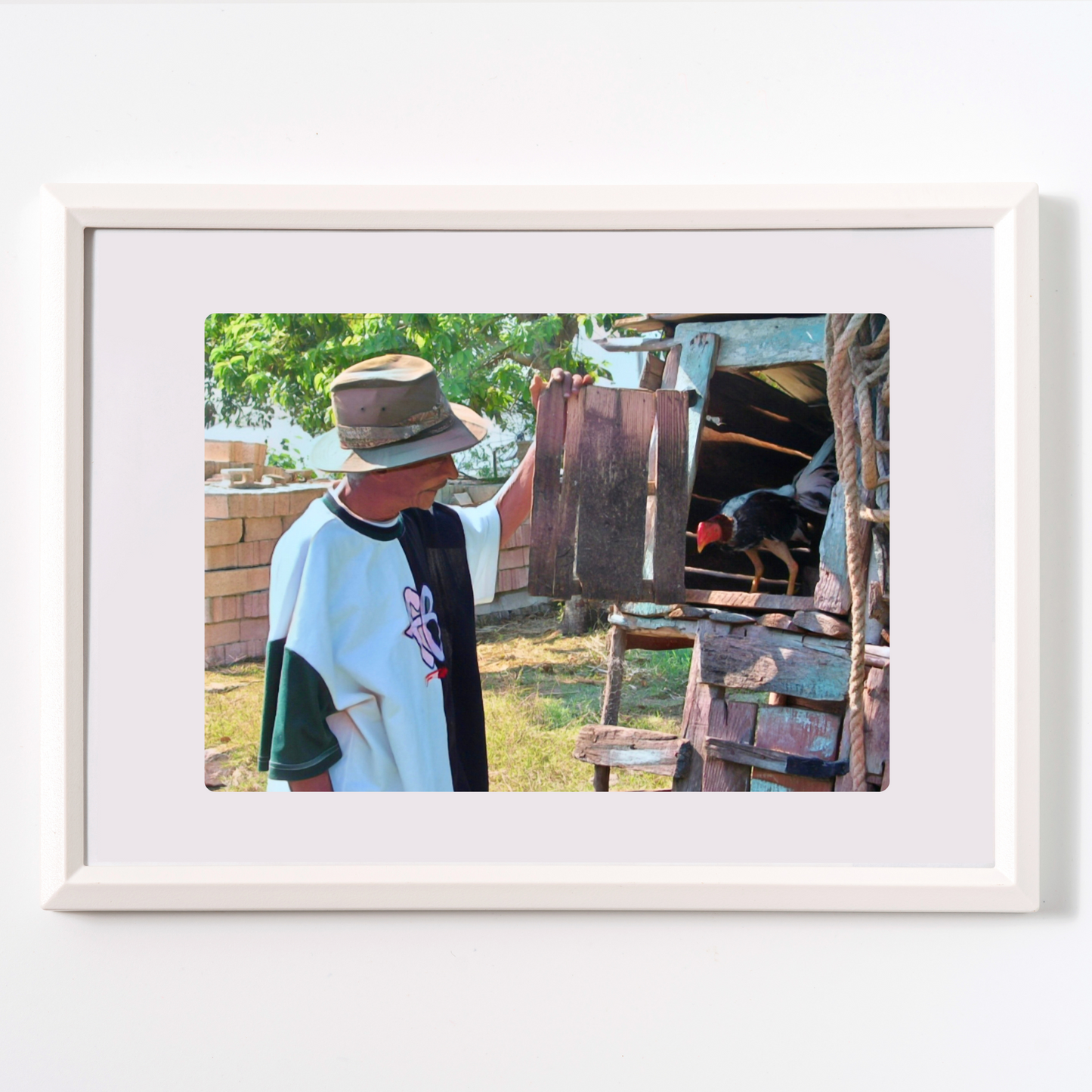 Good morning, Young Rooster