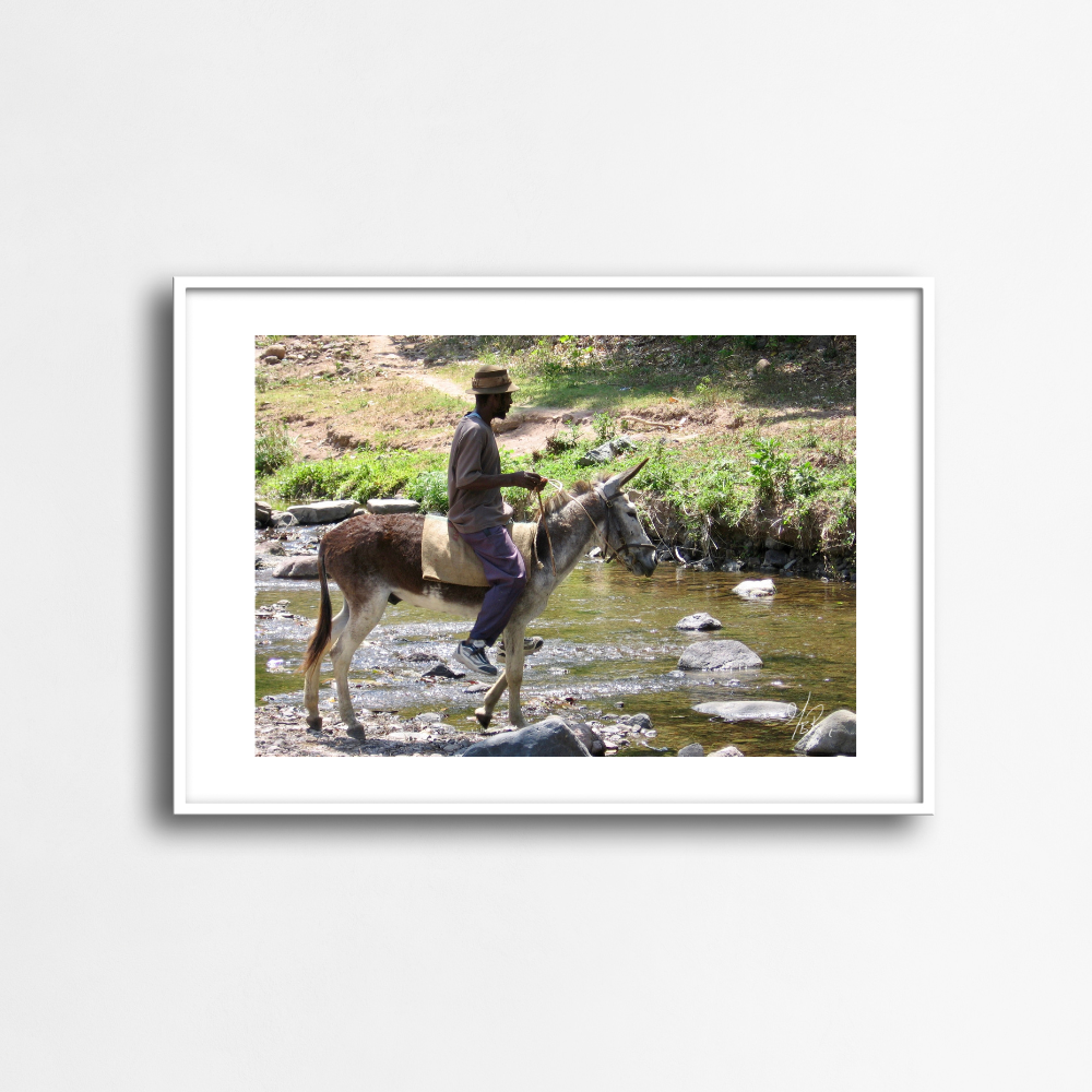 Jamaica - Man on Donkey Ride Across the River