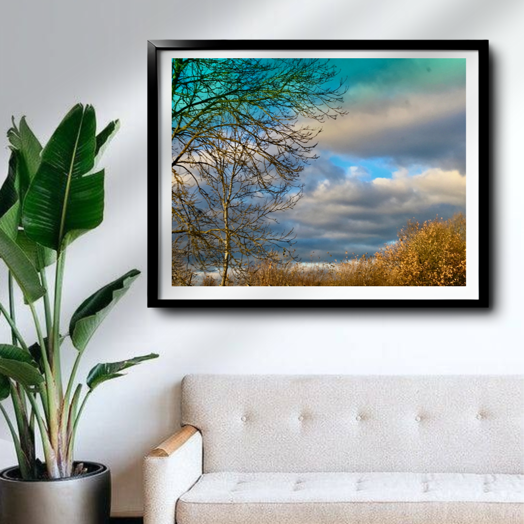 Skyward View - Varying Sades of Blue Among White Clouds