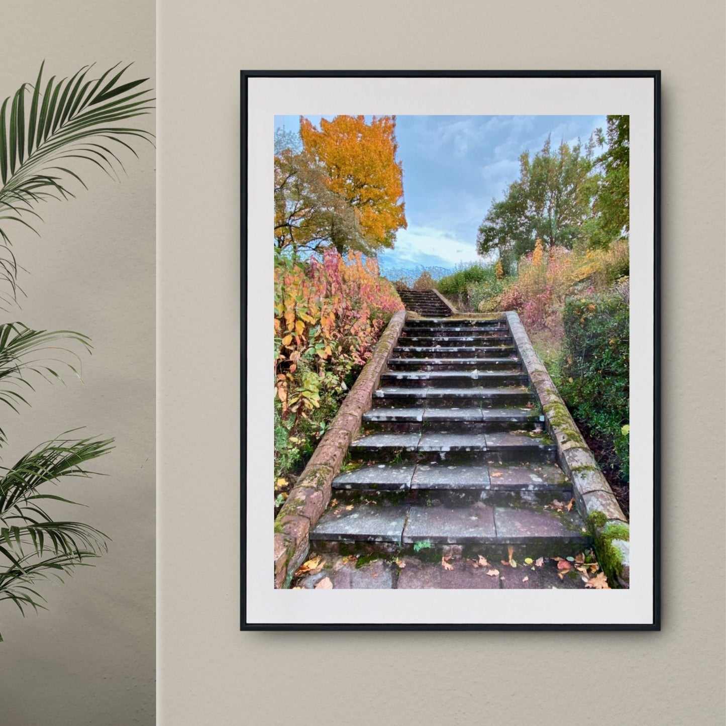 Stairway to Garden
