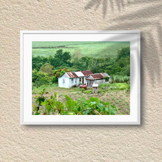 Simple Living: Rural Roots