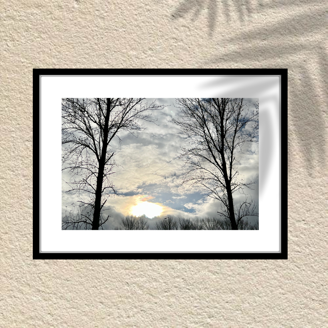 Why Nature Photography Makes the Perfect Gift