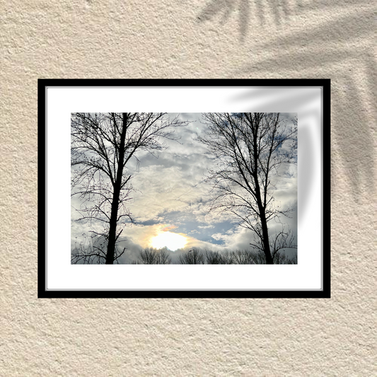 Why Nature Photography Makes the Perfect Gift