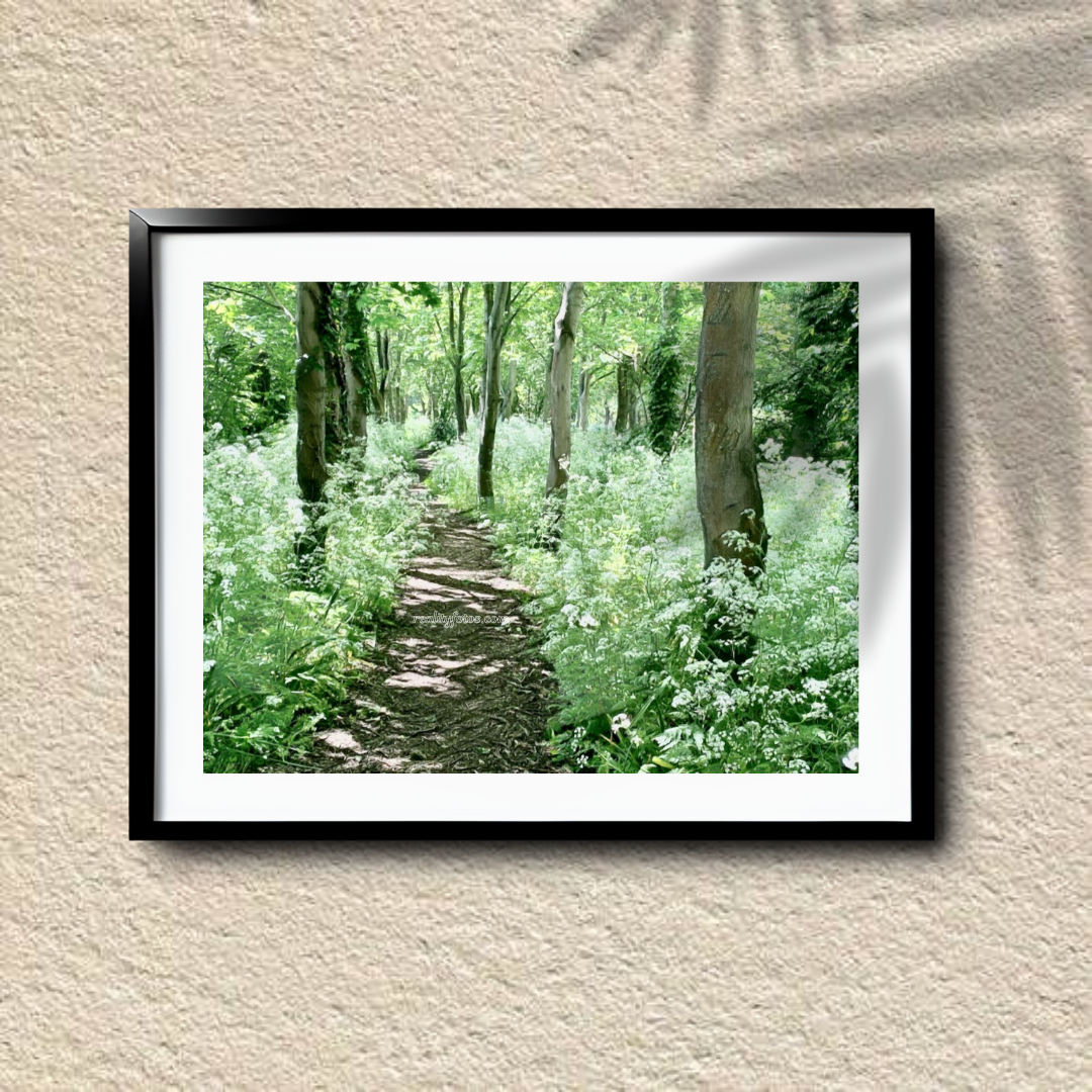 Whispers of the Woods