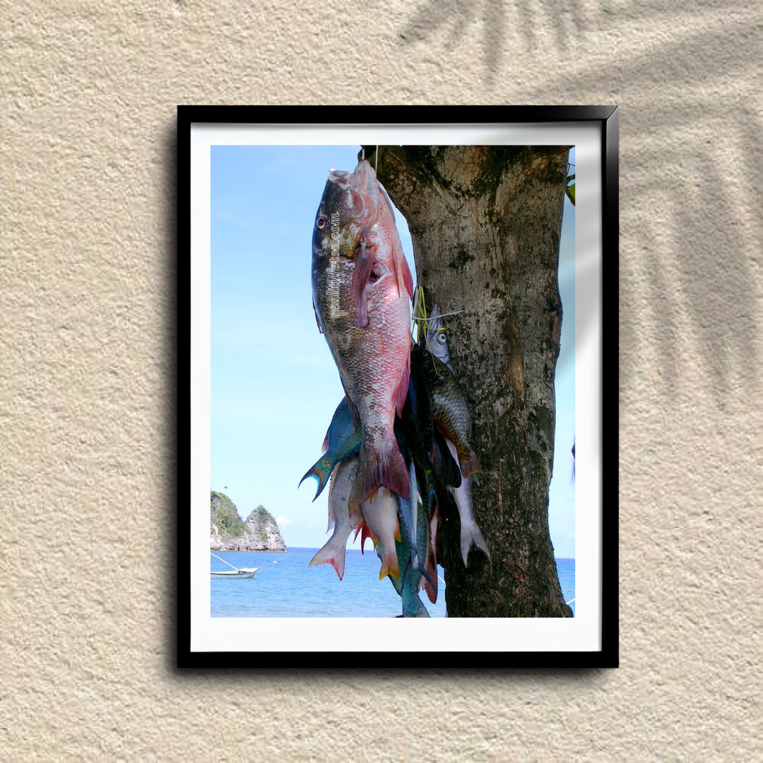 Jamaica Fishing Beach - Fresh Catch of the Day