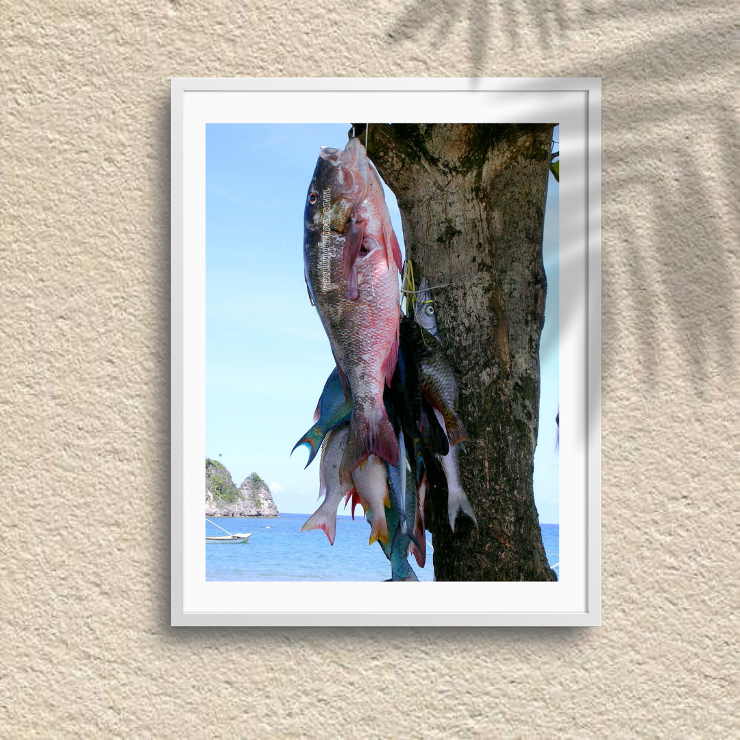 Jamaica Fishing Beach - Fresh Catch of the Day