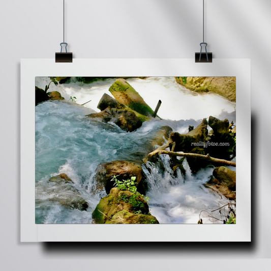 Rocky River - Cranbrook Park Jamaica