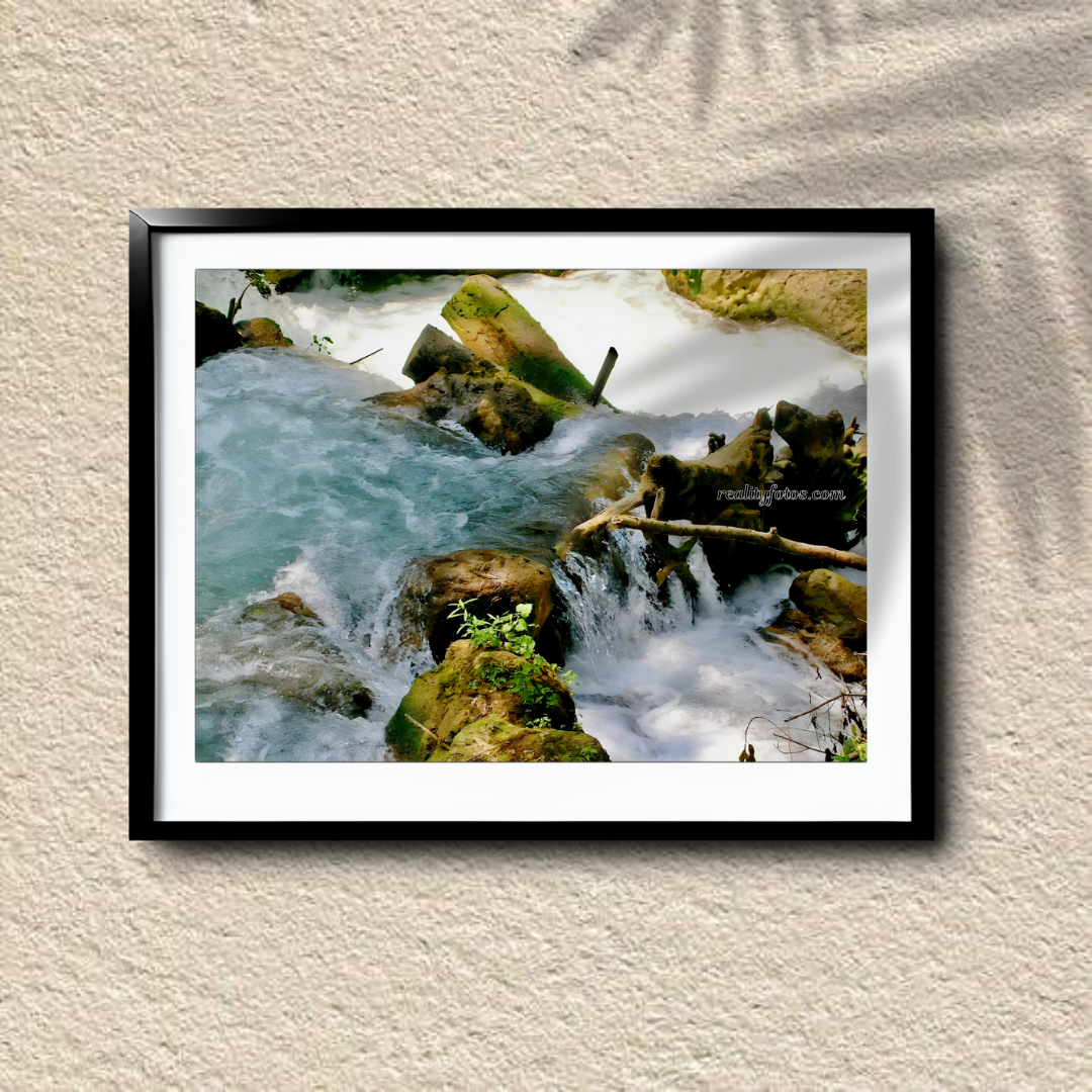 Rocky River - Cranbrook Park Jamaica