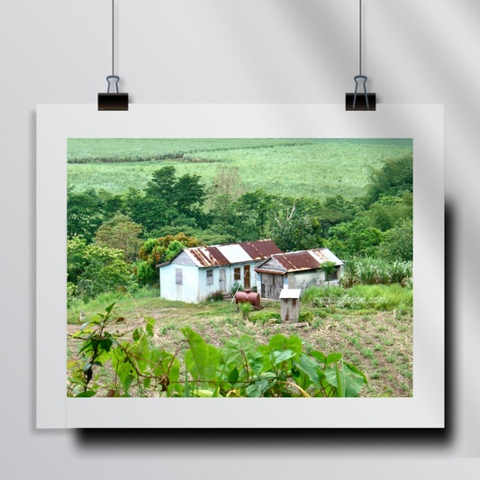 Jamaica Rural Countryside - Simple Living: Rural Roots