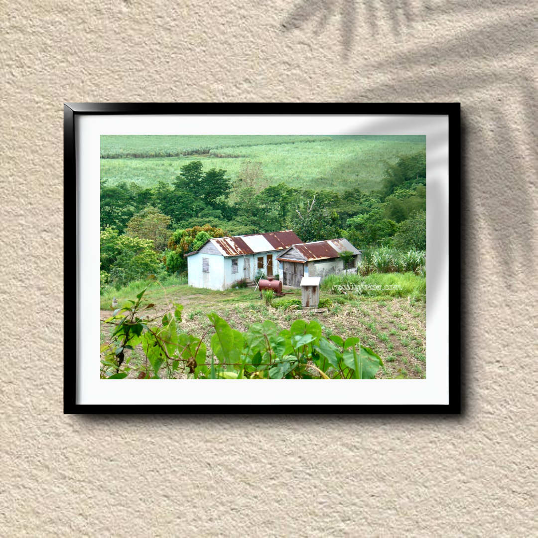 Jamaica Rural Countryside - Simple Living: Rural Roots