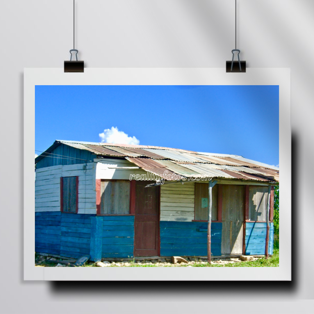 Blue & White Zink Roof House with Red Door