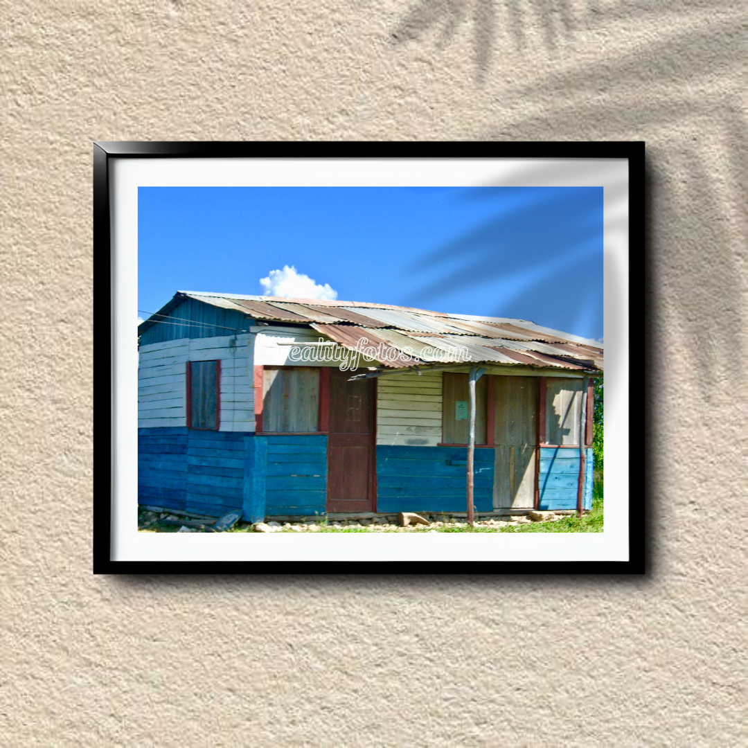 Blue & White Zink Roof House with Red Door