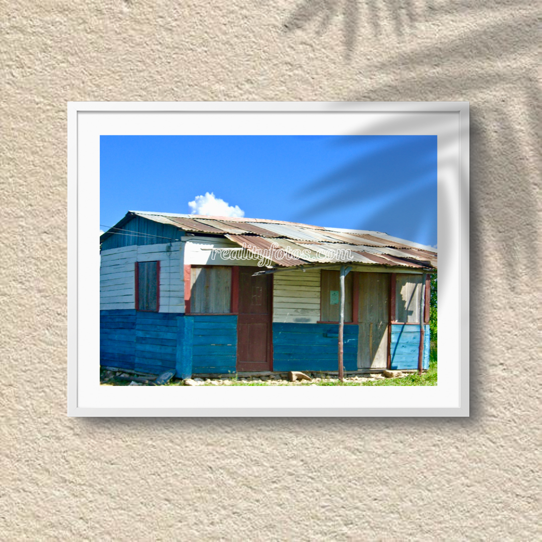 Blue & White Zink Roof House with Red Door