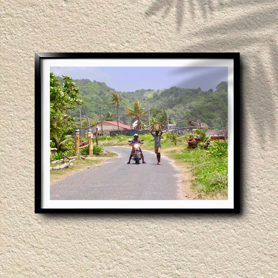 Country Companions – Rural Jamaica Roadside