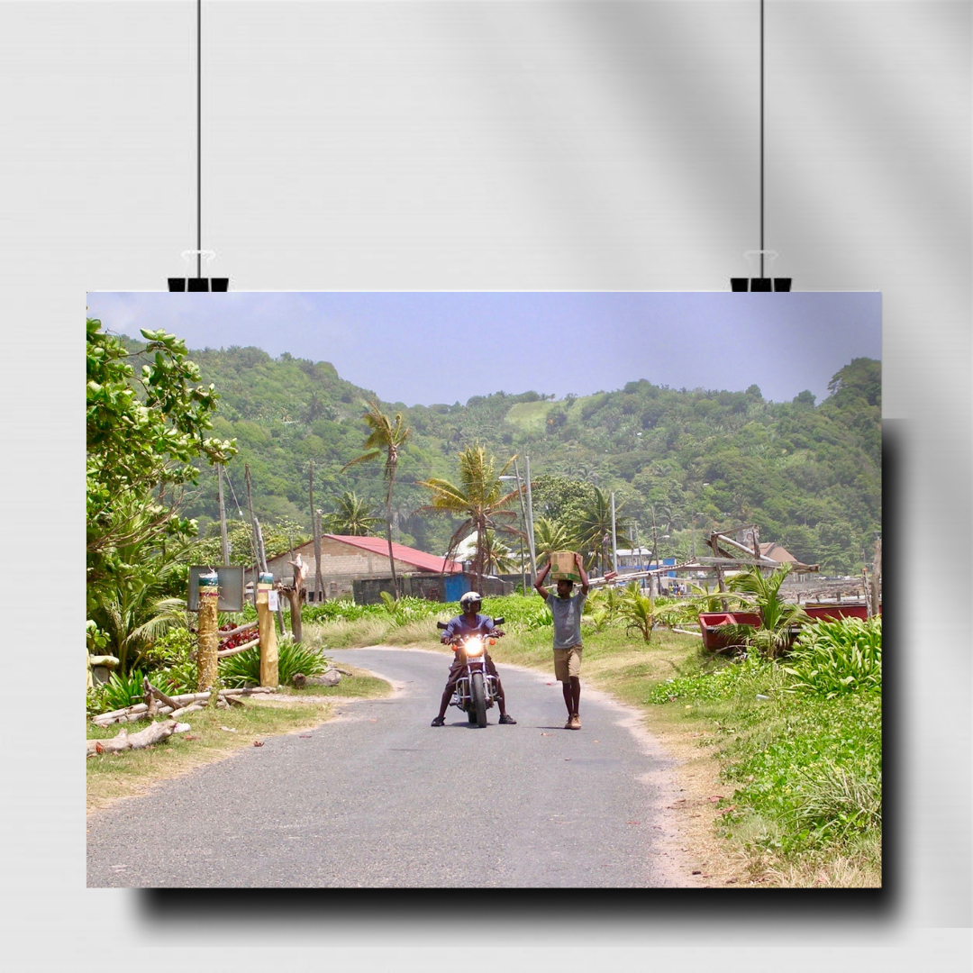Country Companions – Rural Jamaica Roadside