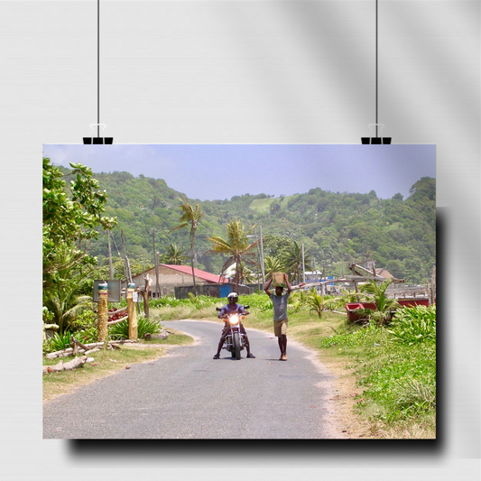 Country Companions – Rural Jamaica Roadside