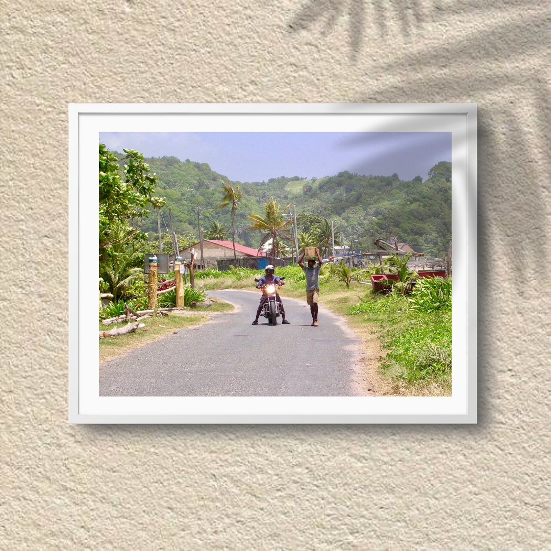 Country Companions – Rural Jamaica Roadside