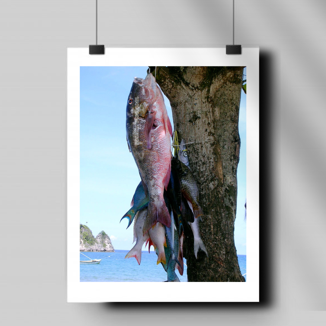 Jamaica Fishing Beach - Fresh Catch of the Day