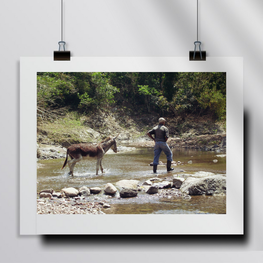 Rural Jamaica - Donkey Journey Across the River