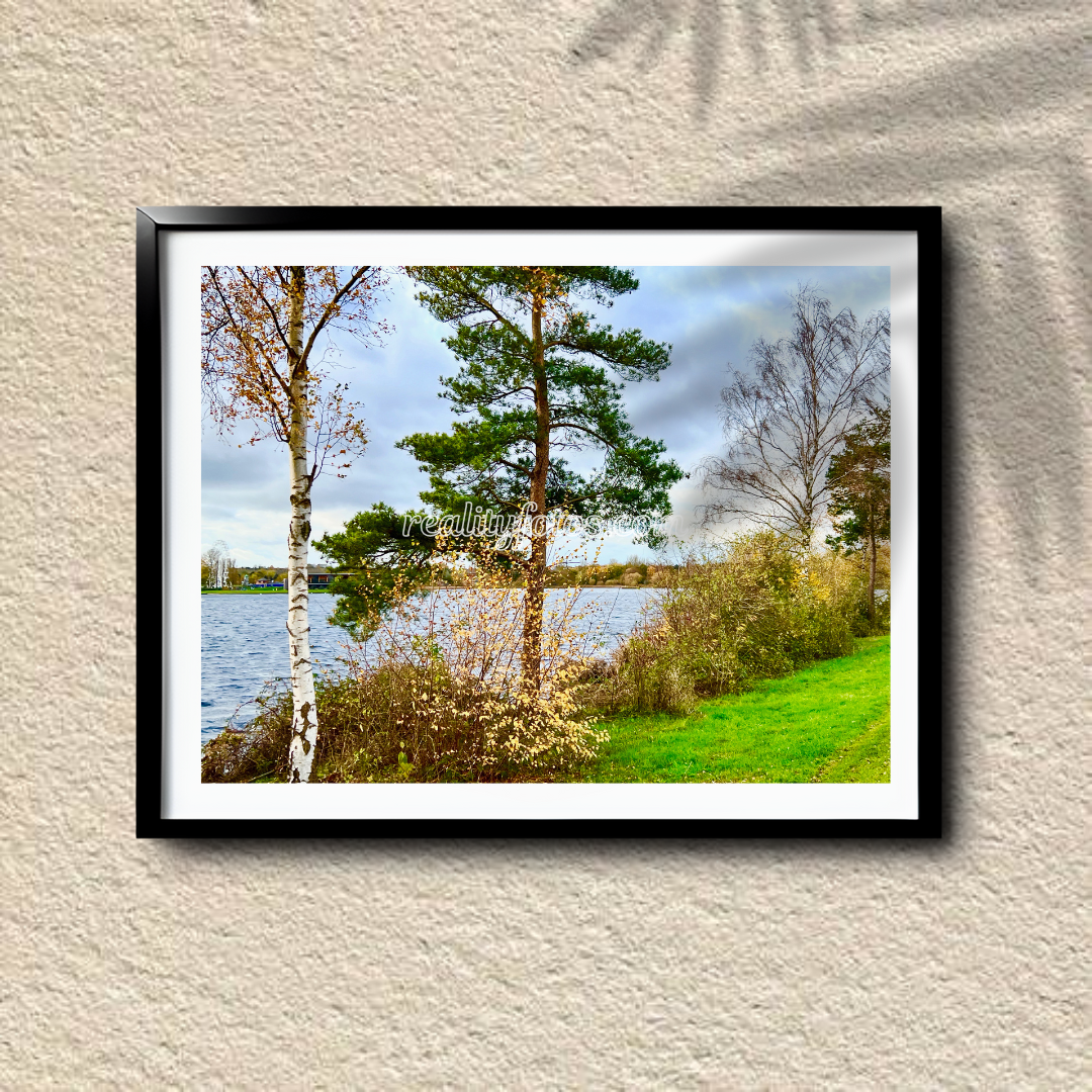 Trees Overlooking Lake - Lakeside Beauty