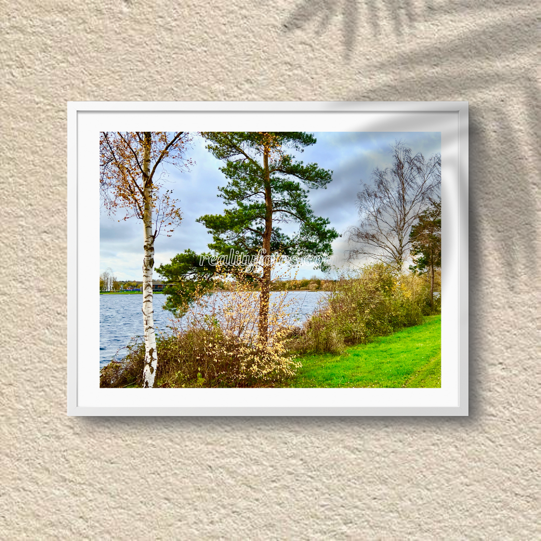 Trees Overlooking Lake - Lakeside Beauty