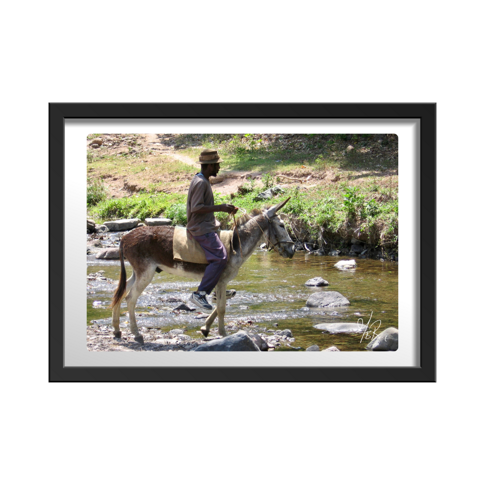 Man on Donkey Ride Across the River