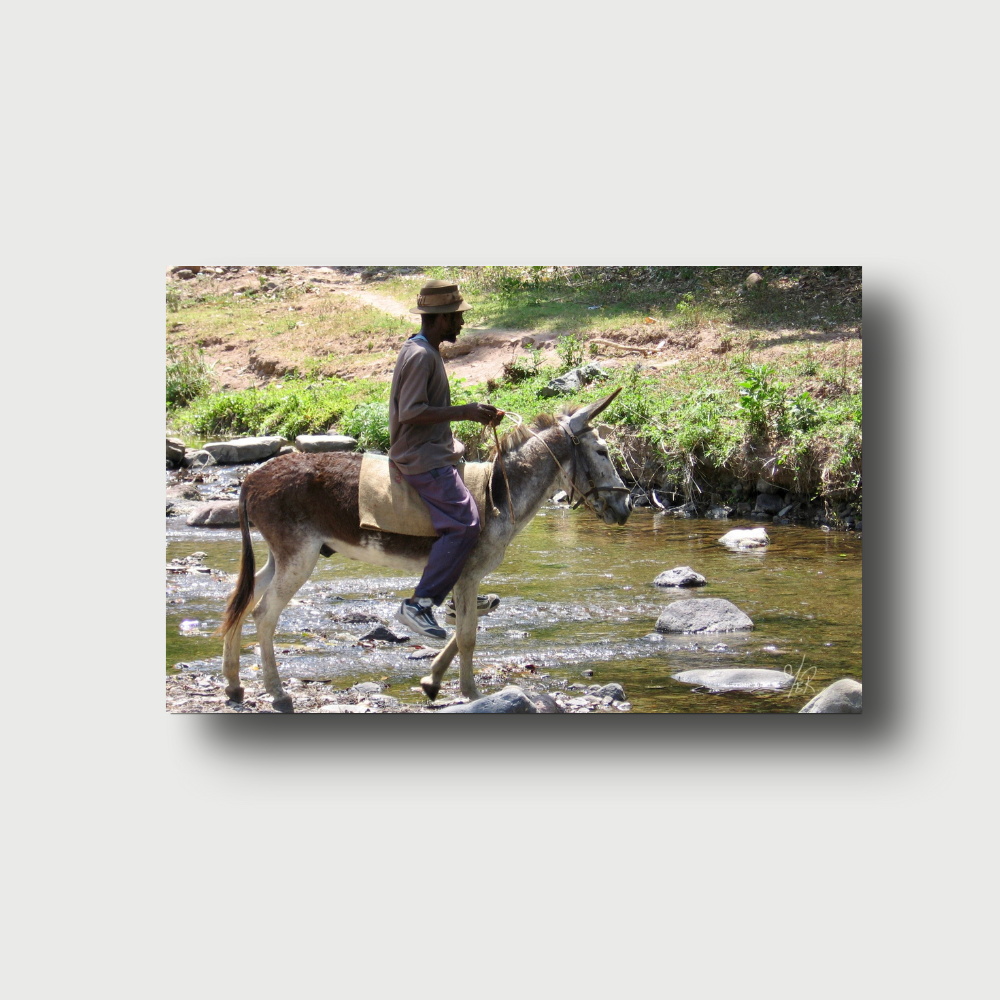 Man on Donkey Ride Across the River