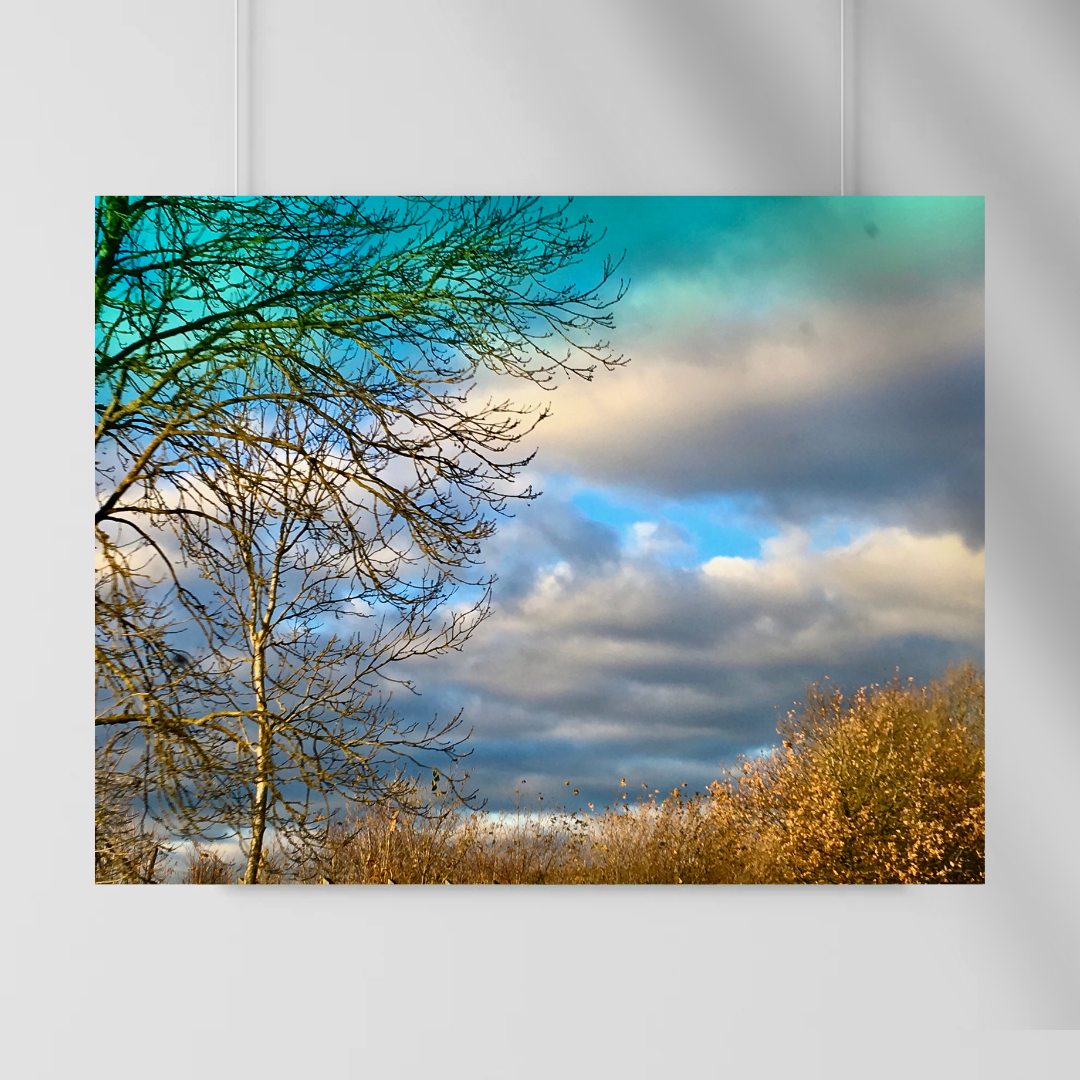 Skyward View - Varying Sades of Blue Among White Clouds