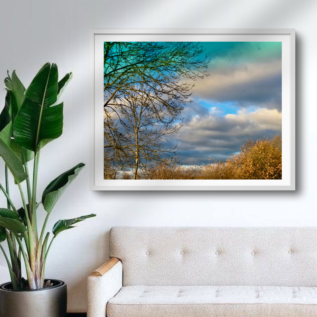 Skyward View - Varying Sades of Blue Among White Clouds