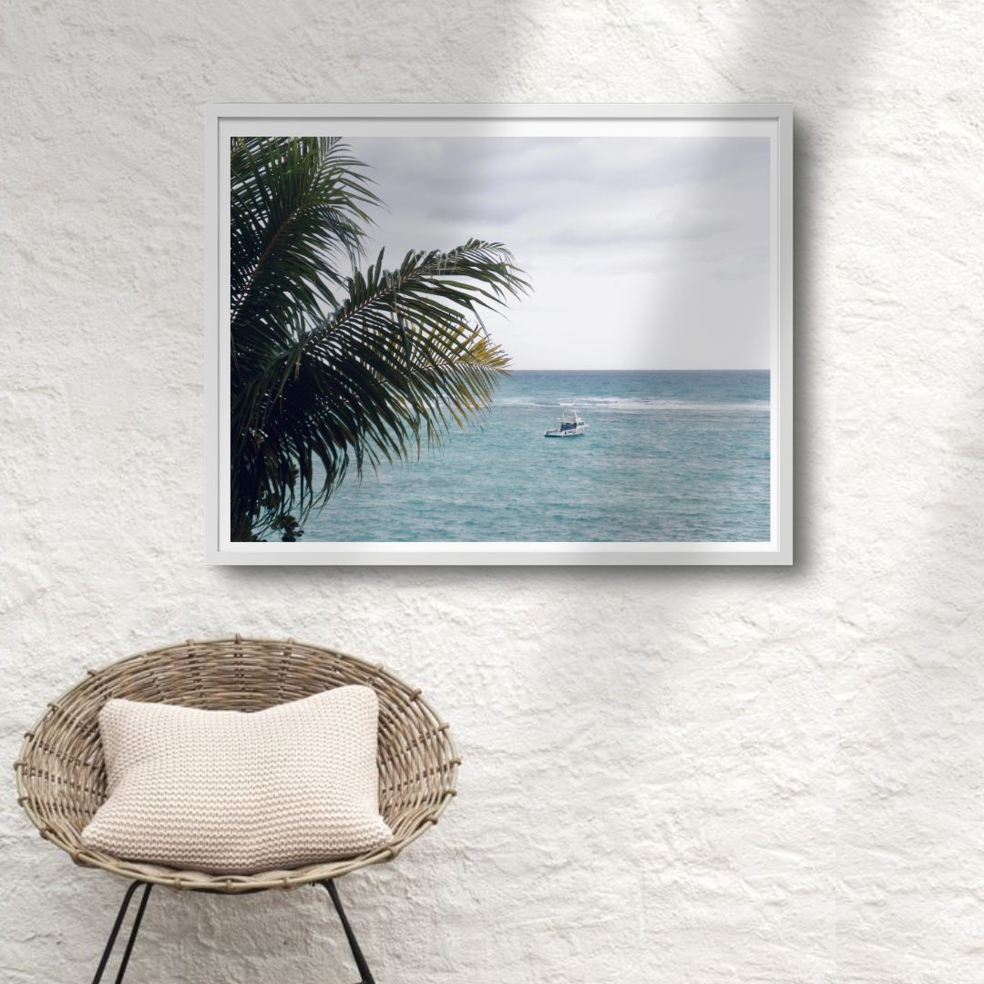 Tropical Horizon - Palm Tree Overlooking Beach, Jamaica