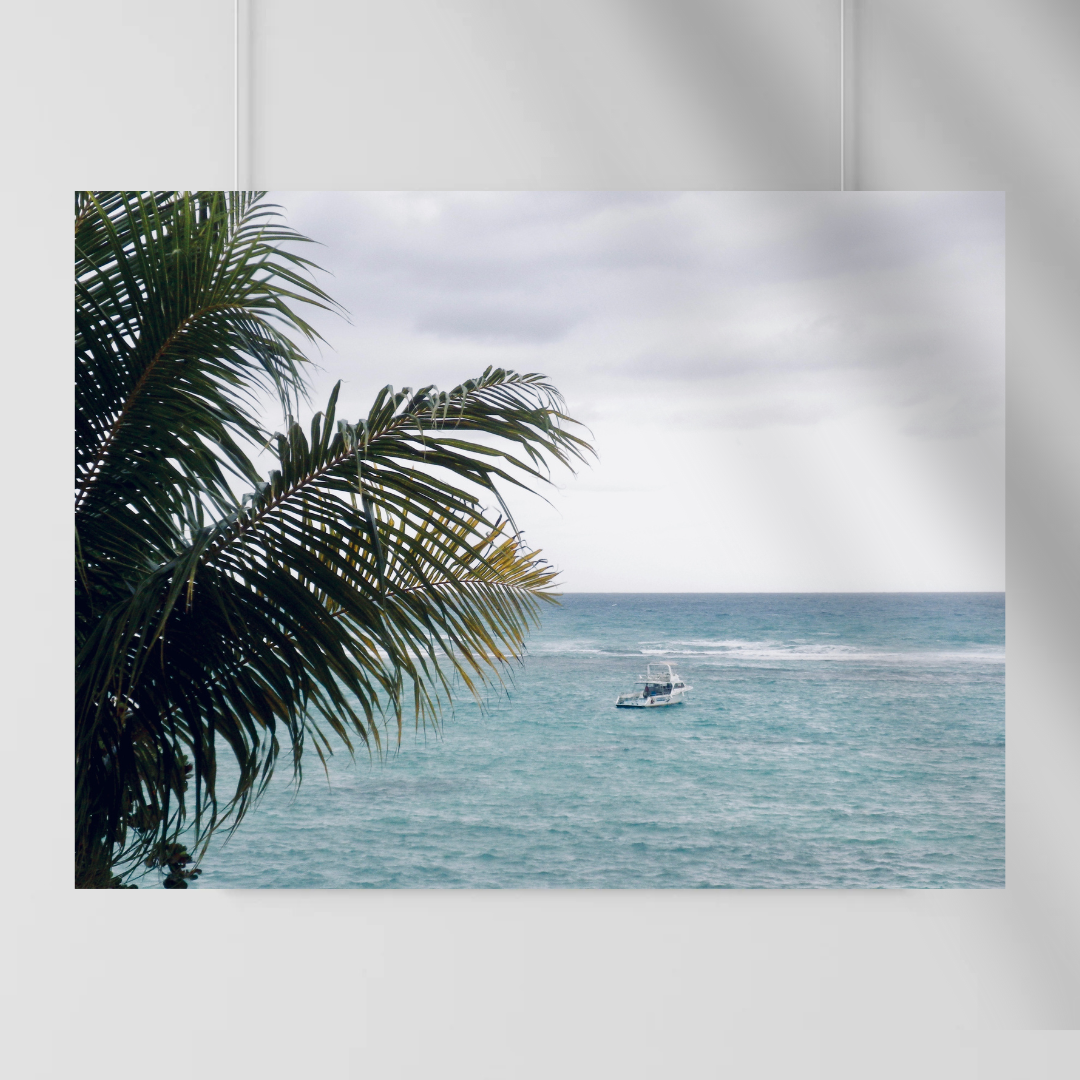 Tropical Horizon - Palm Tree Overlooking Beach, Jamaica