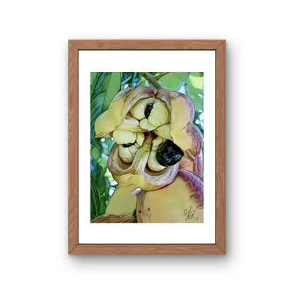 Ackee - Jamaica National Dish