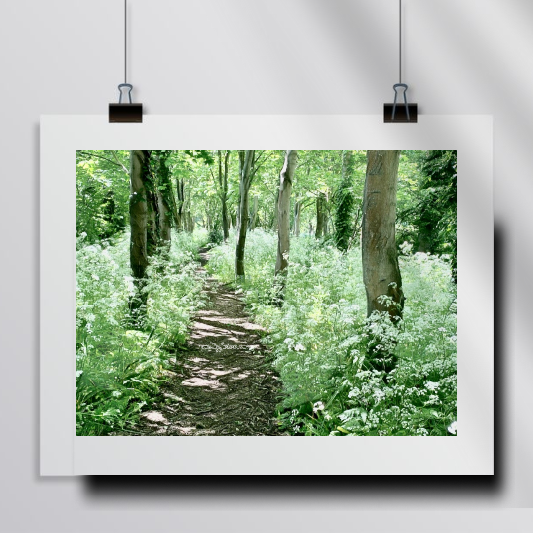 Whispers of the Woods